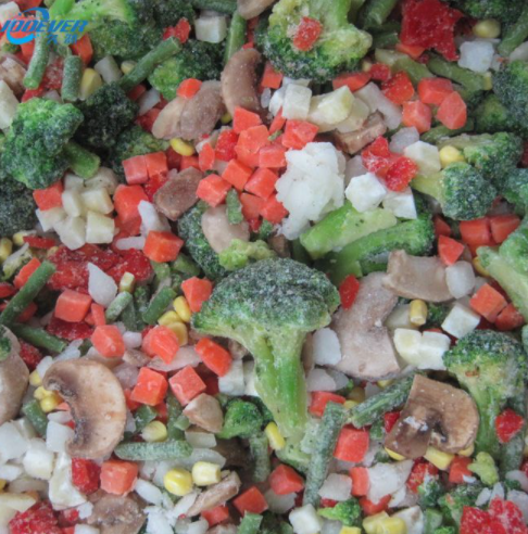 Interesting Facts About Wholesale Frozen Vegetables That You Should Know