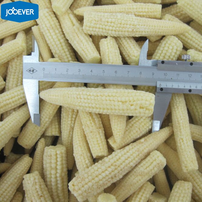 IQF Frozen Baby Corn whole