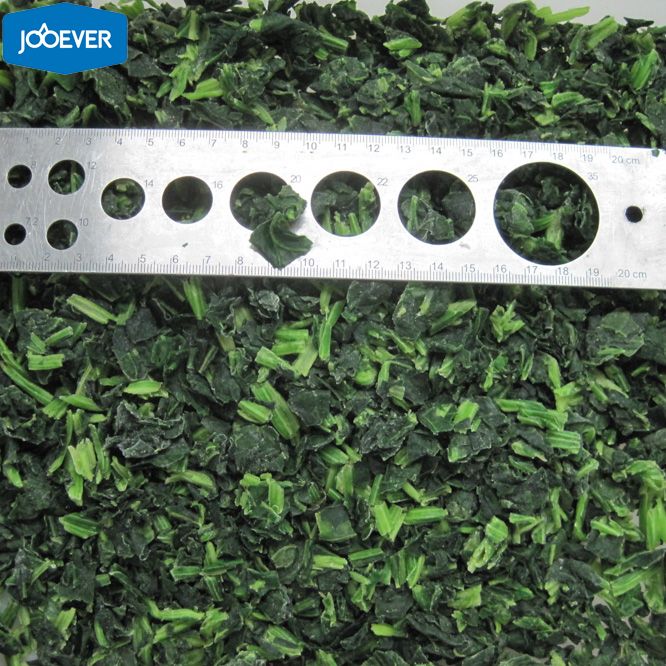 IQF Frozen Spinach leaf cut