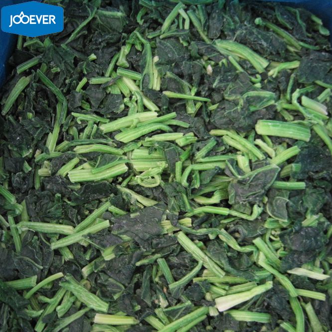 IQF Frozen Spinach leaf cut