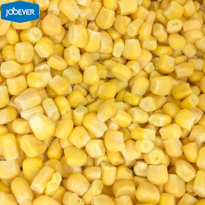 IQF Frozen Sweet Corn kernels