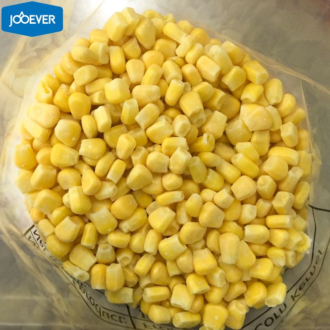 IQF Frozen Sweet Corn kernels