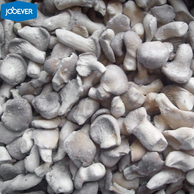 IQF Frozen Baby Oyster Mushroom