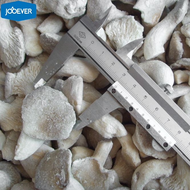IQF Frozen Baby Oyster Mushroom