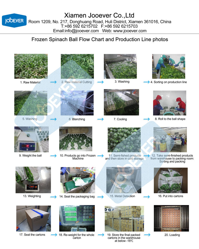 Flow Chart of IQF Spinach Ball